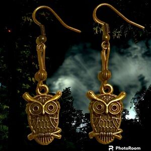 🦉 handmade owl dangle earrings with big eyebrows bronze birds cute gift new